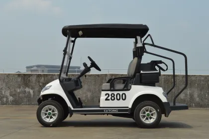 LVTONG 48V 2-Seater Electric Golf Cart