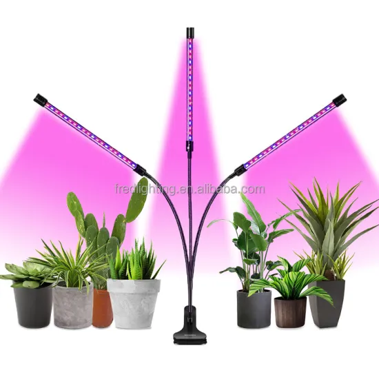 Customized LED Grow Lights for Indoor Flower Seeding and Greenhouse Cultivation