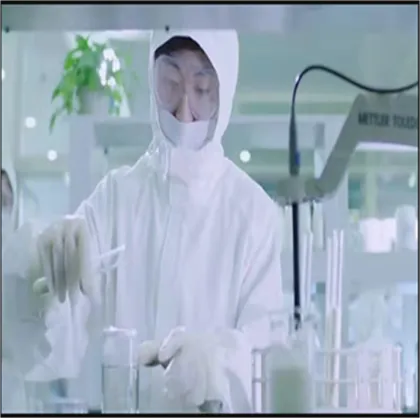 Rhizoma polygonati extract Polygonatum sibiricum extract