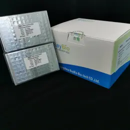Virus nucleic acid extraction kit with CE