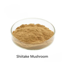 Buy online active ingredients Reishi Mushroom powder