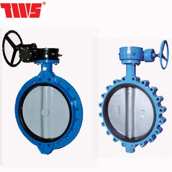 DN600-1200 worm Large size gear cast iron flange butterfly valve