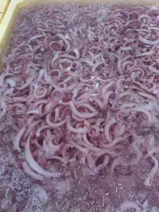 Frozen Squid Slice Roll