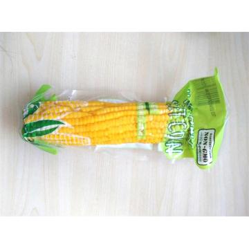 Yellow Sweet Corn high Grade na sprzedaż