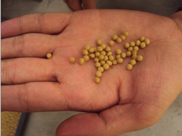 Catfish Food Pellet Extruder Machine/ Equipment/ Machinery (TSE/DLG)