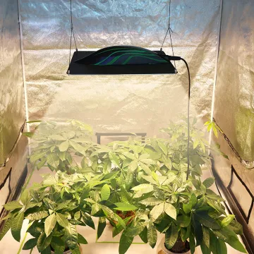 Led Grow Light For Vertic Farm
