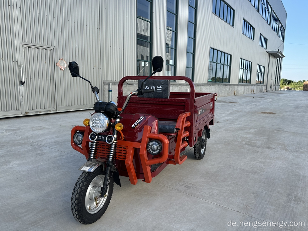 3 Rad elektrische Roller leistungsstarker Roller 1000W 60 V