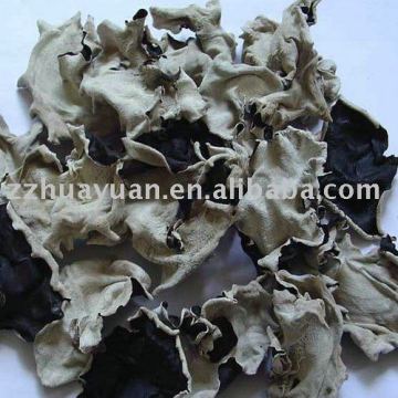 dried black fungus