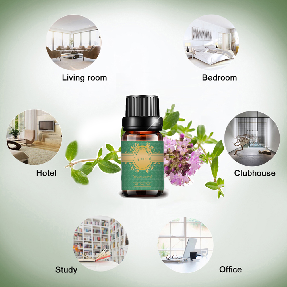 High Quality Thyme Essential Oil at Best Price