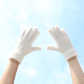 Winter Mink Velvet fünf Fingerhandschuhe - Plüsch warme kalte Fäustlinge für Frauen