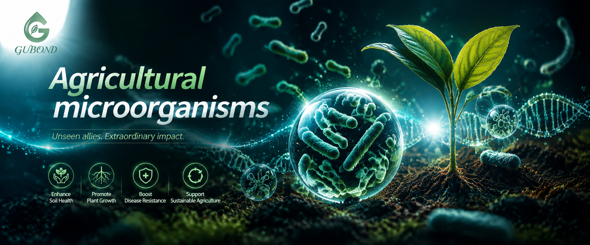 Agricultural microorganisms