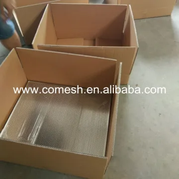 Perforated Stainless Steel Drying Food Tray