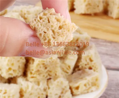 Double Screw Gluten Making Machine: Flour Washing and Wheat Gluten Seitan Maker