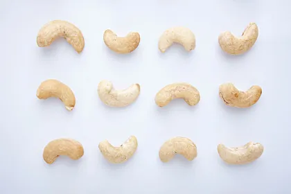 Vietnam dried raw cashew nuts