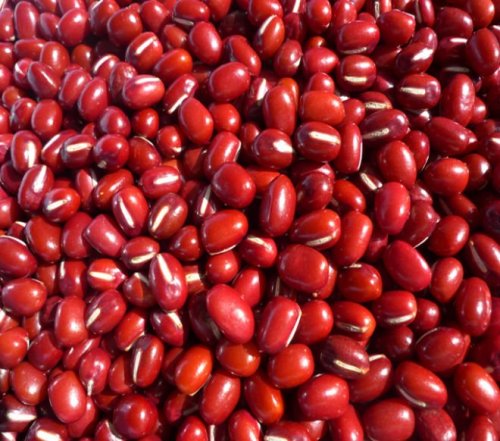 exportera små röda bönor heilongjiang ursprung