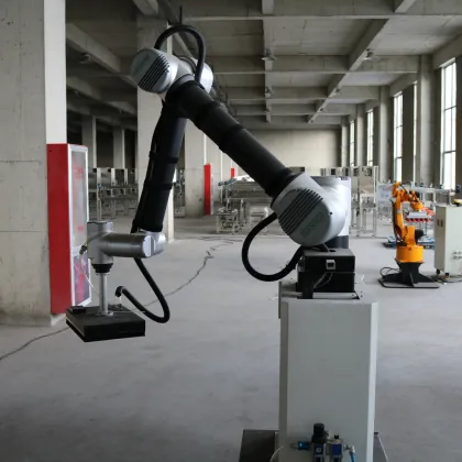 Low-Cost Collaborative Palletizing Robots: An Automated Solution for Industrial Bag Palletization