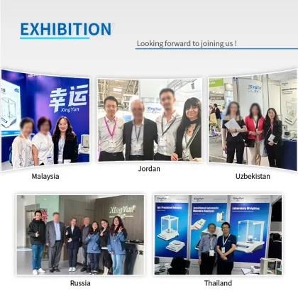 Intelligent GLP/GMP Automatic Moisture Tester