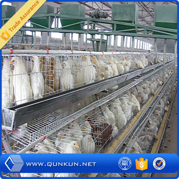 chicken cage/layer chicken cage/layer chicken cage for sales (20 years factory)