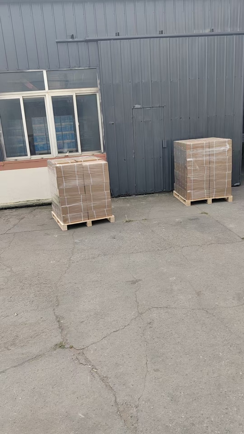 Leeyu Precision Engineering’s BX-Series Fasteners Shipped to Bosnia and Herzegovina, Strengthening the Foundation for European Cooperation