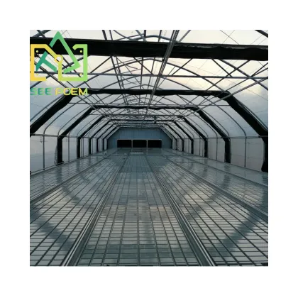 Skyplant Greenhouse HPS DE 1000w Grow Light System