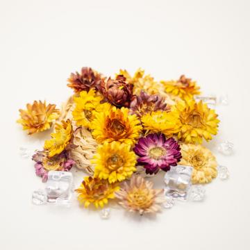 Dried Strawflower - Colourful DIY Handmade Gifts and Candles