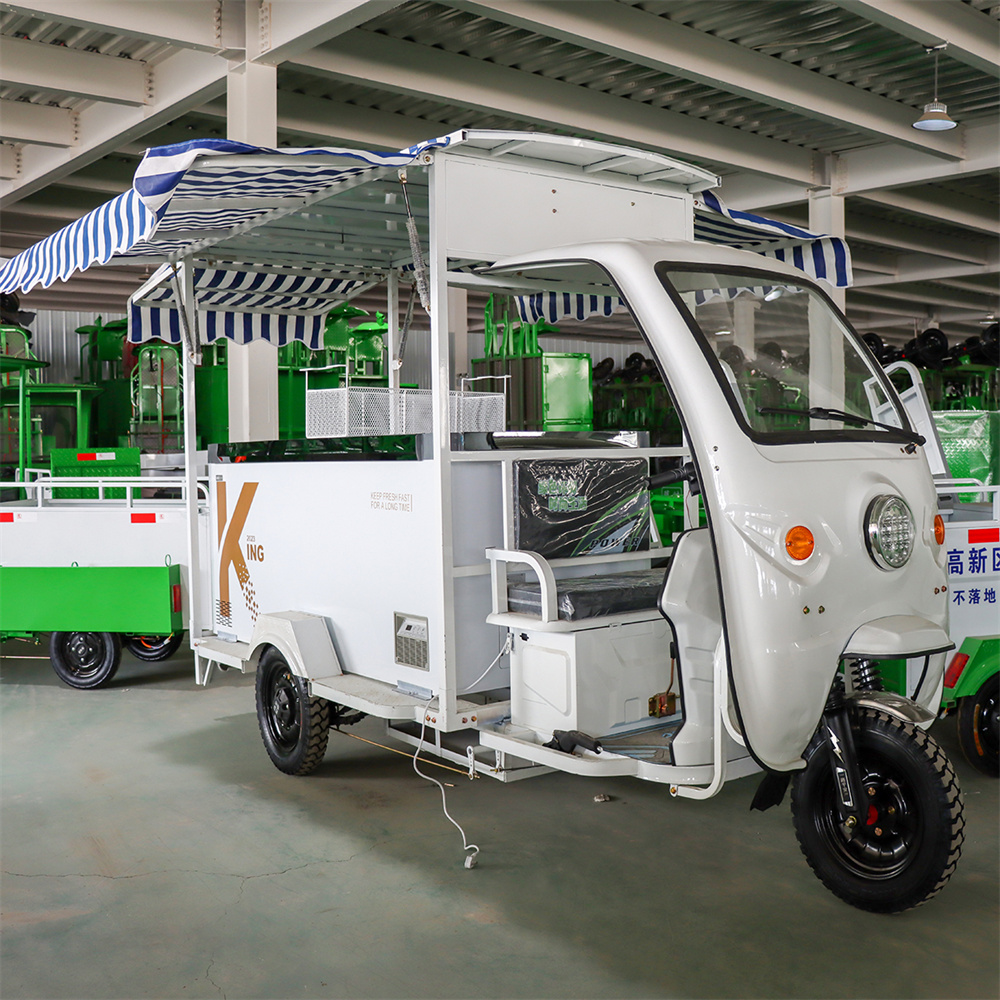 electric refrigerator car