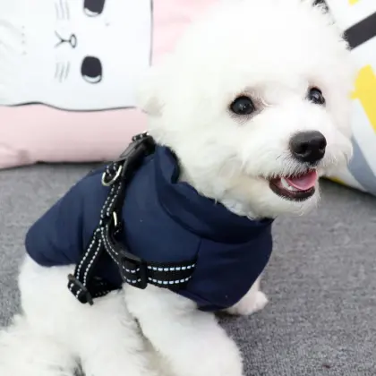 Teddy Skiwear Zipper Vest for Dogs: Thick Autumn and Winter Padded Coats