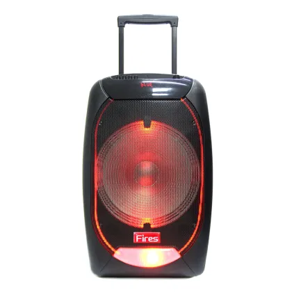 Portable Fidek Speaker Professional Bass Portable Wireless Speaker with Trolley