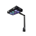 Sunrise Sunset Saltwater CREE LED Light