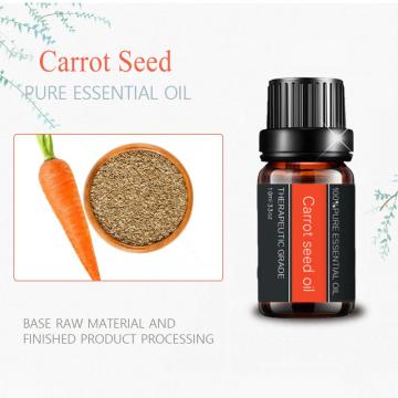 Óleo essencial de semente de cenoura de boa qualidade para cuidados com a pele