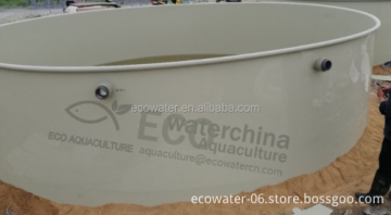 Large PP Plastic Fish Tank System for Farm Recirculating Aquaculture: Supplier and Details