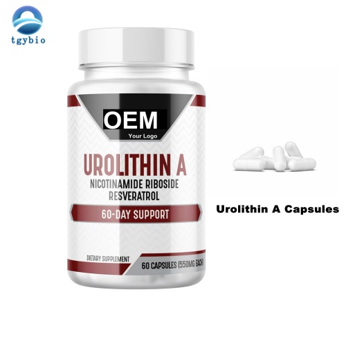 Étiquette privée Urolithine A Capsules for Energy Supplément