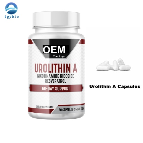 Private Label Urolithin A Capsules for Energy Supplement