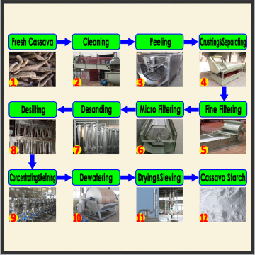 Food grade native cassava starch processing industry