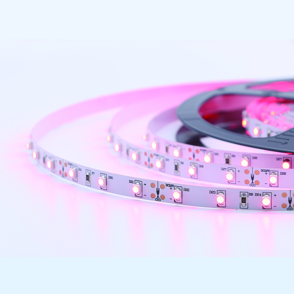 Pink Color 3528smd Led