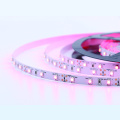 3528SMD اللون الوردي 60led قطاع مرنة