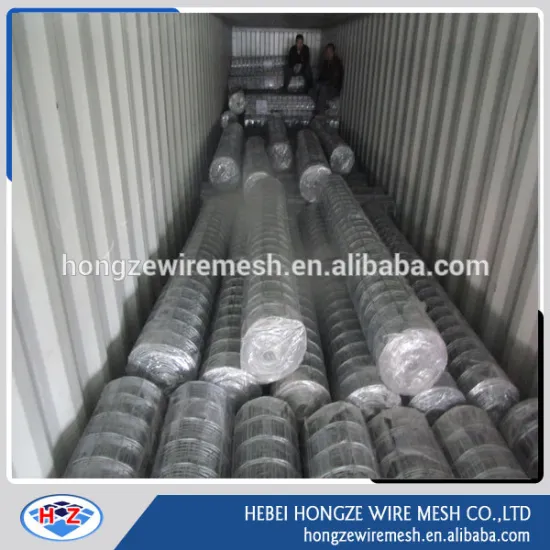 cheap galvanized welded rabbit cage wire mesh