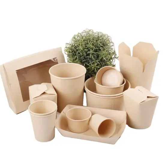 Eco-Friendly Bamboo Paper Food Container Biodegradable