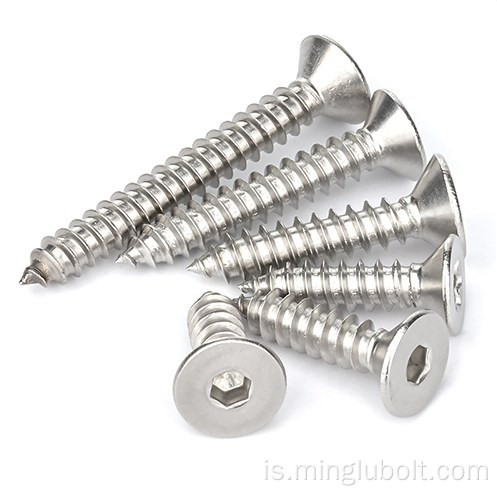 Ryðfrítt stál 304 410 Self Tapping Wood Screw