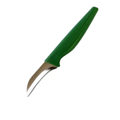 High-Quality Small Fruit Knife with Plastic Handle and Eagle Design