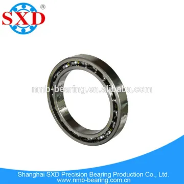 ISO9001:2008 Stainless Steel ball bearing from Chinese factory 6916