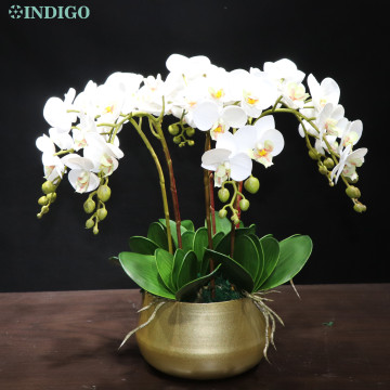 INDIGO- White Orchid (7pcs Orchid+5pcs Leaves+Pot) DIY Flower Arrangment Real Touch Flower Office Decoration Event Centerpiece