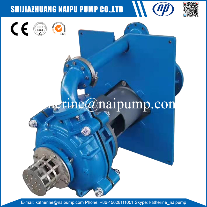 Special Design Pump Jpg