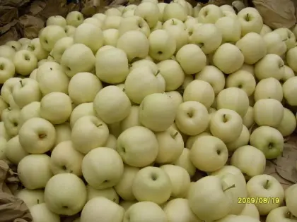 delicoisou Chinese golden apple