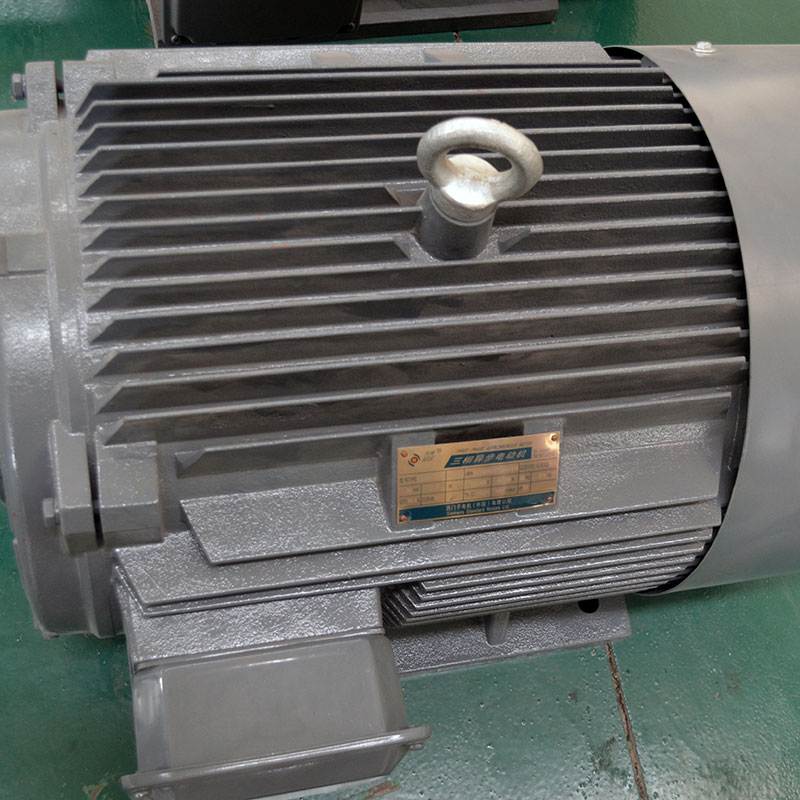 Simens motor of pellet machine