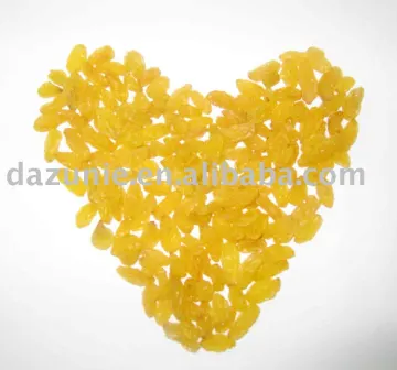Dried Golden Raisin