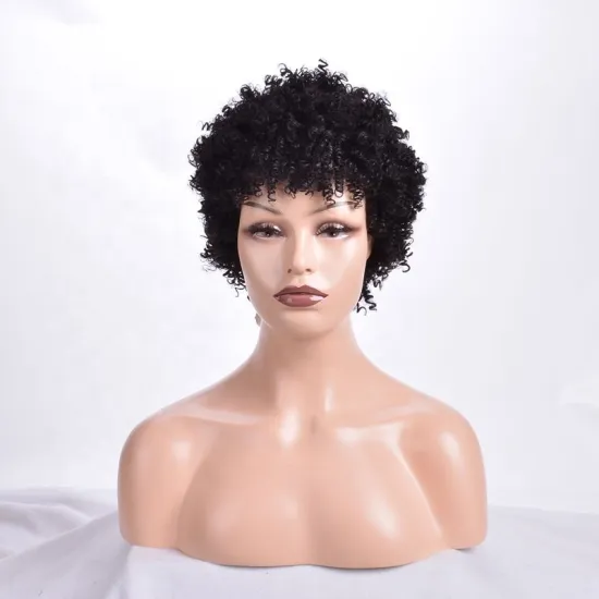 Wholesale sale of short, low-priced African curly full lace African American black women's wigs