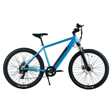 XY-SPORTSMAN ECO La migliore mountain bike elettrica sotto i 3000