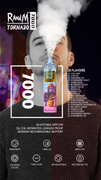 RandM Tornado 7000puffs Disposable Vapes Cool Mint Factory