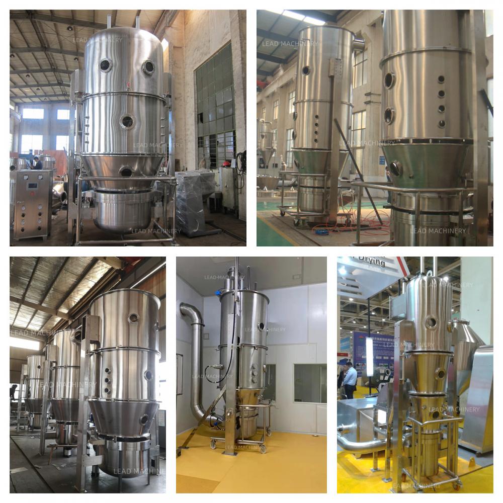 fluidized bed granulator